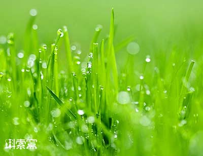 ��Ώص��P(gu��n)�]Win10�΄�(w��)�ژ�(bi��o)���A(y��)�[����