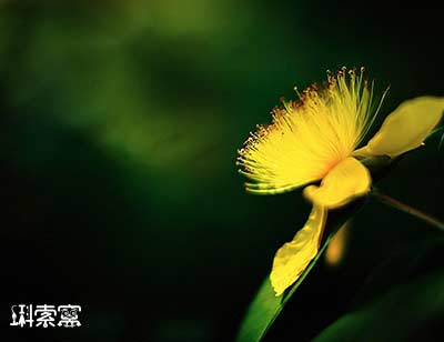 �A��ȁ��϶��]�����@Щ������������ԓ��������