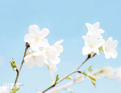 ����ʮ��̖(h��o)����T�˽M�_��